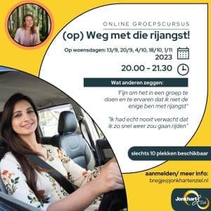 1 rijangst cursus